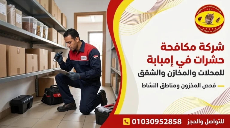 شركة مكافحة حشرات في إمبابة