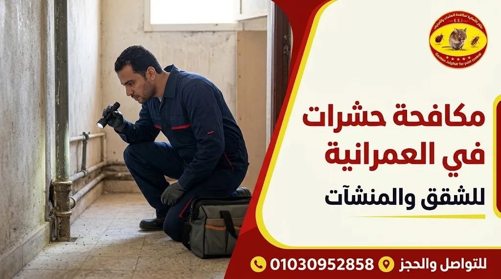 شركة مكافحة حشرات في العمرانية