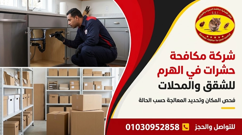 شركة مكافحة حشرات في الهرم