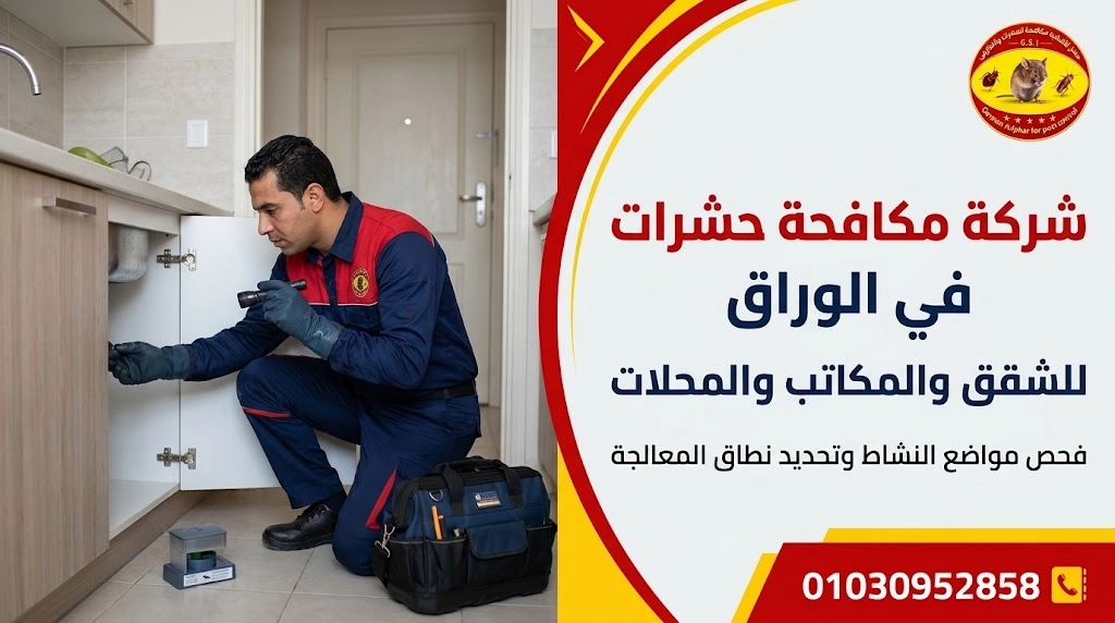 شركة مكافحة حشرات في الوراق