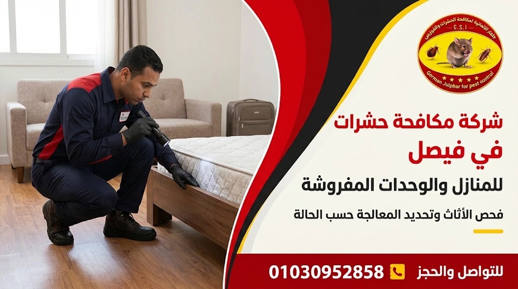 شركة مكافحة حشرات في فيصل