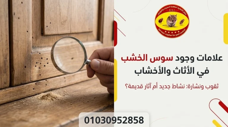 علامات وجود سوس الخشب في الأثاث